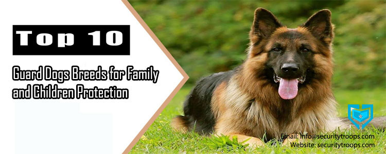 Best Guard Dogs Breeds for Family and Children Protection