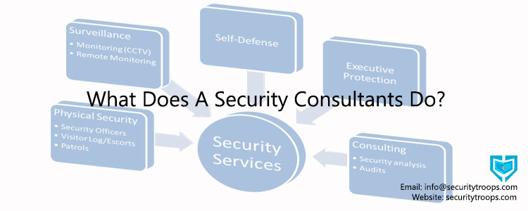 What Does A Security Consultants Do?